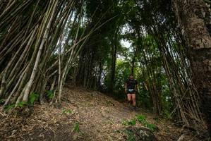 BIB: 
                            <button type="button" onclick="openModal(19395948)" class="btn btn-primary btn-sm float-right btn-popup" data-toggle="modal" data-target=".modal-high-quality">
                        <i class="fas fa-shopping-cart"></i> Add to Cart
                    </button>
                                            <button type="button" onclick="isThisMe(19395948, true)" class="btn btn-success btn-sm float-right btn-popup btn-isme hidden" data-toggle="tooltip" data-placement="bottom" title="นี่คือรูปของคุณใช่ไหม คลิกที่นี่เพื่อเอาเข้าอัลบั้ม">
                        <i class="fas fa-plus"></i> Add to album
                    </button>
                    <button type="button" onclick="isThisMe(19395948, false)" class="btn btn-warning btn-sm float-right btn-popup btn-isnotme hidden">
                        <i class="fas fa-ban"></i> Remove from album
                    </button>